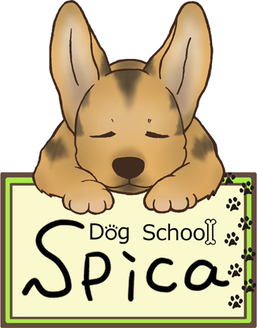 Dog School Spica