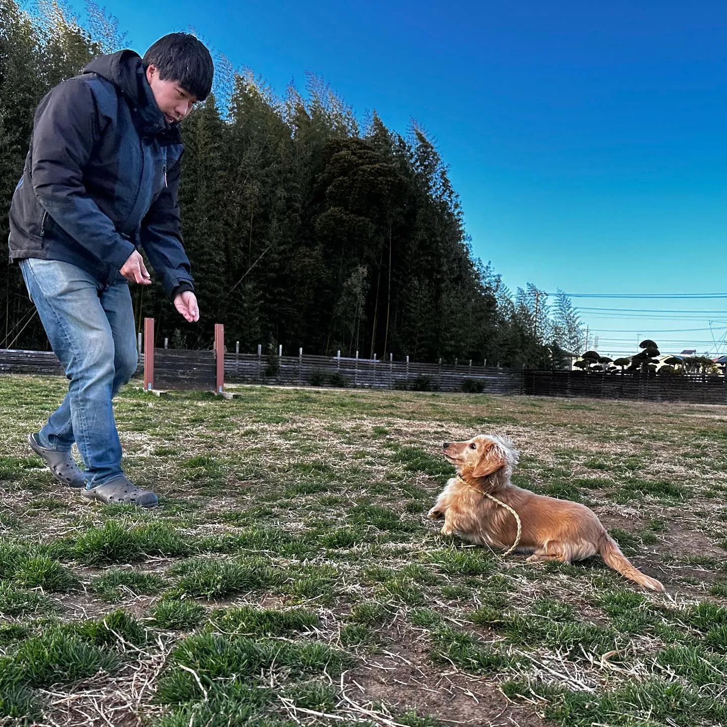 トレーニングに来てくれた子達🐩♬