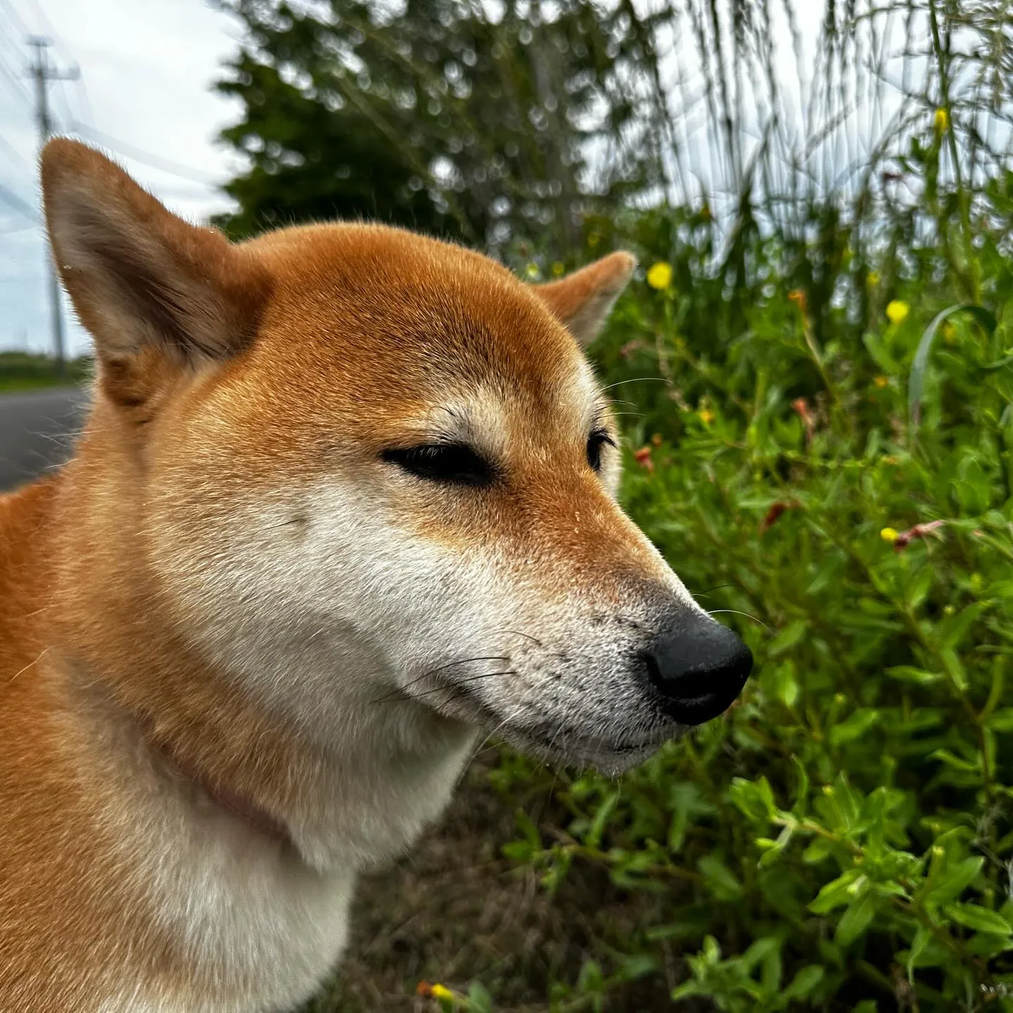 久しぶりの大和くん😄