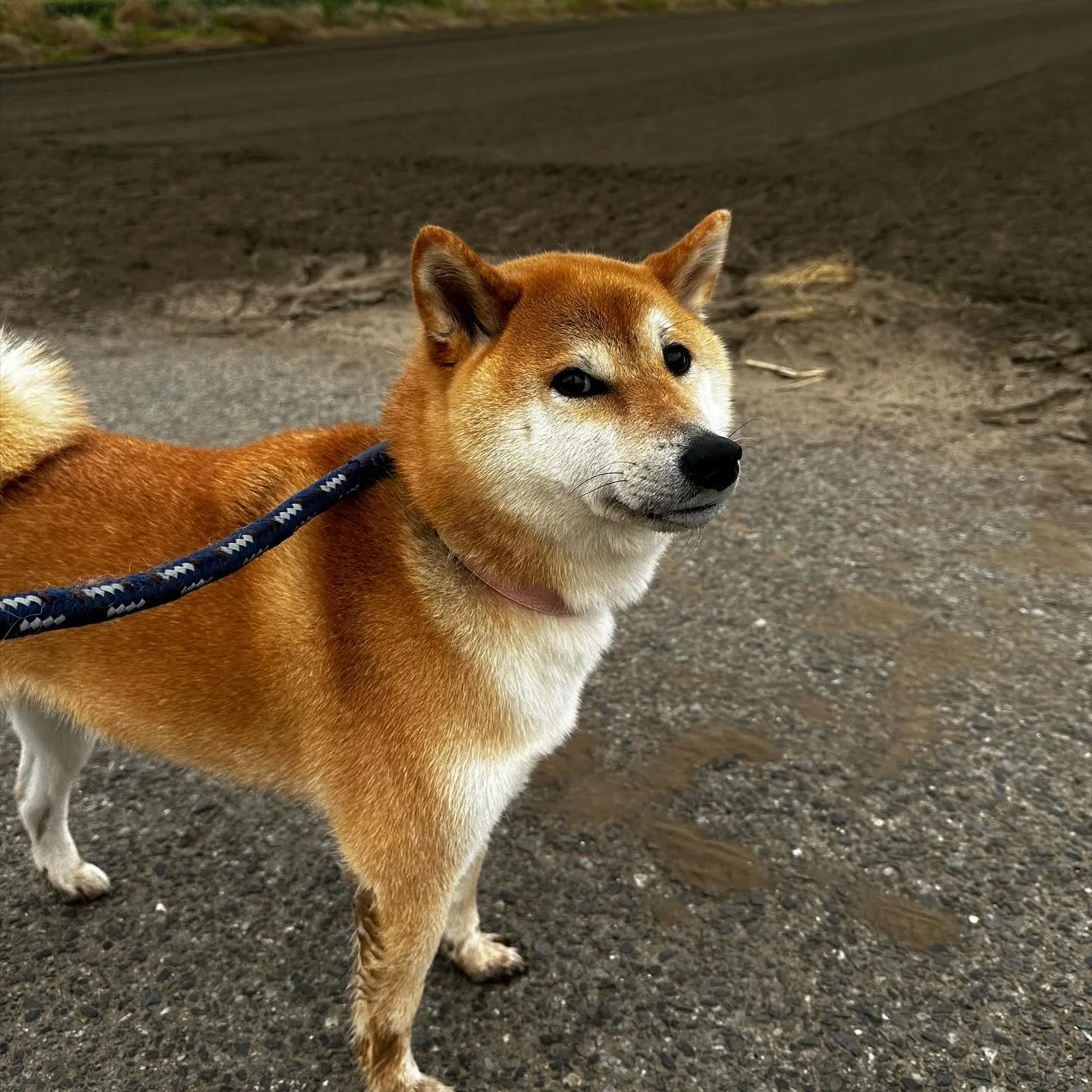 久しぶりの大和くん😄